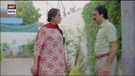 Aapa Shameem - Episode 17 - 23rd December 2024